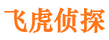 滨湖市侦探公司